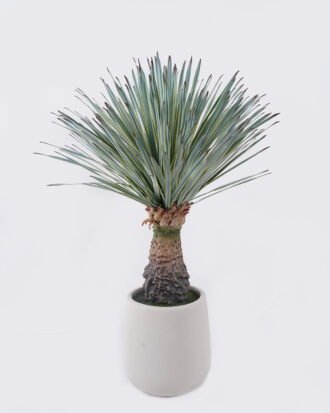 Artificial Table Plants 55*55*96cm Scarecrow in PP pot/232 lvs GS-41926013-G1 2026Jul 3,000+ sqm showroom with thousands of artificial flowers, plants & trees ready for global sourcing. Artificial Table Plants 55*55*96cm Scarecrow in PP pot/232 lvs GS-41926013-G1 2026Jul 3,000+ sqm showroom with thousands of artificial flowers, plants & trees ready for global sourcing.