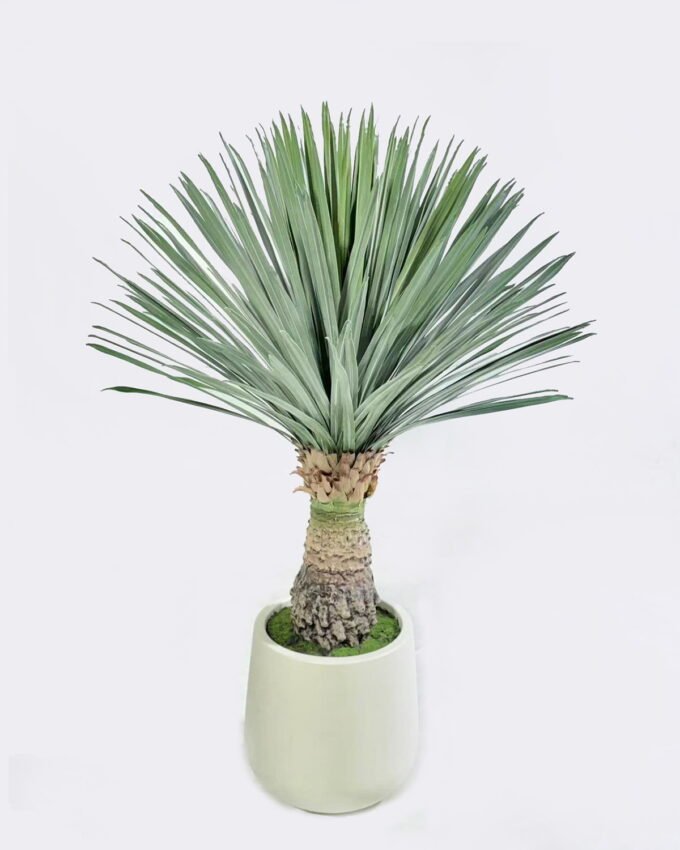 Artificial Table Plants Scarecrow in PP pot 232 lvs GS-41926013-G1_6 Artificial Table Plants 55*55*96cm Scarecrow in PP pot/232 lvs GS-41926013-G1 2026Jul 3,000+ sqm showroom with thousands of artificial flowers, plants & trees ready for global sourcing.