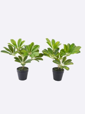 Artificial Flower 5*3*37cm Tulip single stem/real touch GS-68626014 2026Aug 3,000+ sqm showroom with thousands of artificial flowers, plants & trees ready for global sourcing.