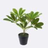 Artificial Table Plants 23*27*30cm Schefflera Octophylla *7  in PP pot GS-70226002 2026Aug 3,000+ sqm showroom with thousands of artificial flowers, plants & trees ready for global sourcing.