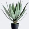 Artificial Table Plants Stabbing Border Dragon Shedan in PP pot 18 lvs GS-41926021 Artificial Table Plants 30*30*50cm Stabbing Border Dragon Shedan in PP pot/18 lvs GS-41926021 2026Jul 3,000+ sqm showroom with thousands of artificial flowers, plants & trees ready for global sourcing.