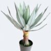 Artificial Table Plants Stabbing Border Dragon Shedan in PP pot 23 lvs GS-41926020 Artificial Table Plants 32*32*60cm Stabbing Border Dragon Shedan in PP pot/23 lvs GS-41926020 2026Jul 3,000+ sqm showroom with thousands of artificial flowers, plants & trees ready for global sourcing.