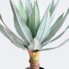 Artificial Table Plants Stabbing Border Dragon Shedan in PP pot 23 lvs GS-41926020_1 Artificial Table Plants 32*32*60cm Stabbing Border Dragon Shedan in PP pot/23 lvs GS-41926020 2026Jul 3,000+ sqm showroom with thousands of artificial flowers, plants & trees ready for global sourcing.