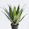 Artificial Table Plants Stabbing Border Dragon Shedan in PP pot 24 lvs GS-41926009 Artificial Table Plants 48*45*60cm Stabbing Border Dragon Shedan in PP pot/24 lvs GS-41926009 2026Jul 3,000+ sqm showroom with thousands of artificial flowers, plants & trees ready for global sourcing.