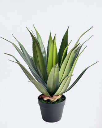 Artificial Table Plants 48*45*60cm Stabbing Border Dragon Shedan in PP pot/24 lvs GS-41926009 2026Jul 3,000+ sqm showroom with thousands of artificial flowers, plants & trees ready for global sourcing. Artificial Table Plants 48*45*60cm Stabbing Border Dragon Shedan in PP pot/24 lvs GS-41926009 2026Jul 3,000+ sqm showroom with thousands of artificial flowers, plants & trees ready for global sourcing.