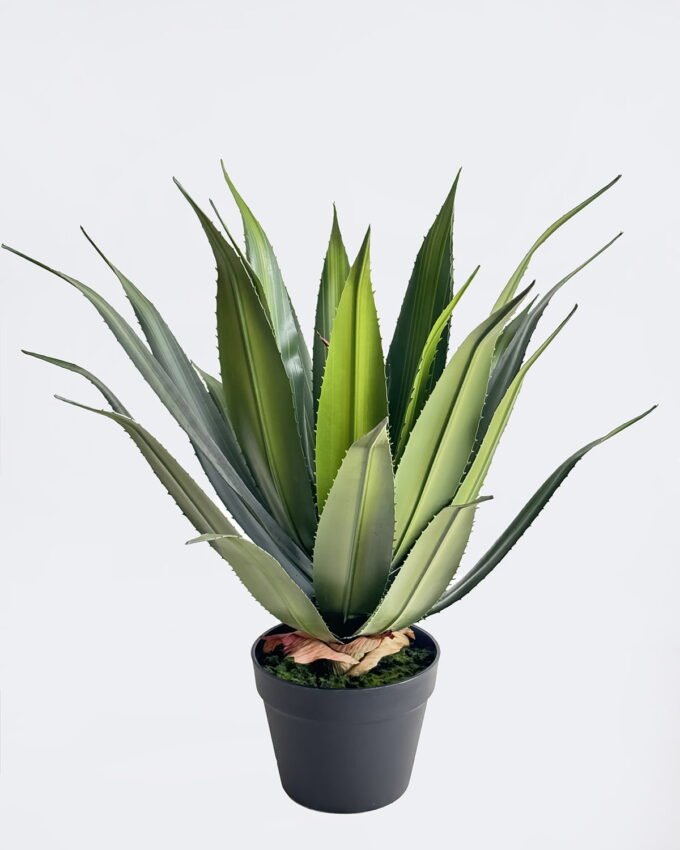 Artificial Table Plants 48*45*60cm Stabbing Border Dragon Shedan in PP pot/24 lvs GS-41926009 2026Jul 3,000+ sqm showroom with thousands of artificial flowers, plants & trees ready for global sourcing.