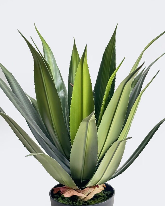 Artificial Table Plants 48*45*60cm Stabbing Border Dragon Shedan in PP pot/24 lvs GS-41926009 2026Jul 3,000+ sqm showroom with thousands of artificial flowers, plants & trees ready for global sourcing.