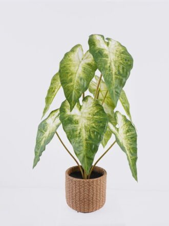 Artificial Table Plants 35*35*28cm Monstera in cement pot GS-03326053 2026Jun 3,000+ sqm showroom with thousands of artificial flowers, plants & trees ready for global sourcing.