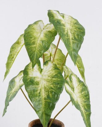 Artificial Table Plants 30*30*52cm Syngonium podophyllum in Cement pot GS-03326054 2026Jun 3,000+ sqm showroom with thousands of artificial flowers, plants & trees ready for global sourcing. Artificial Table Plants 30*30*52cm Syngonium podophyllum in Cement pot GS-03326054 2026Jun 3,000+ sqm showroom with thousands of artificial flowers, plants & trees ready for global sourcing.