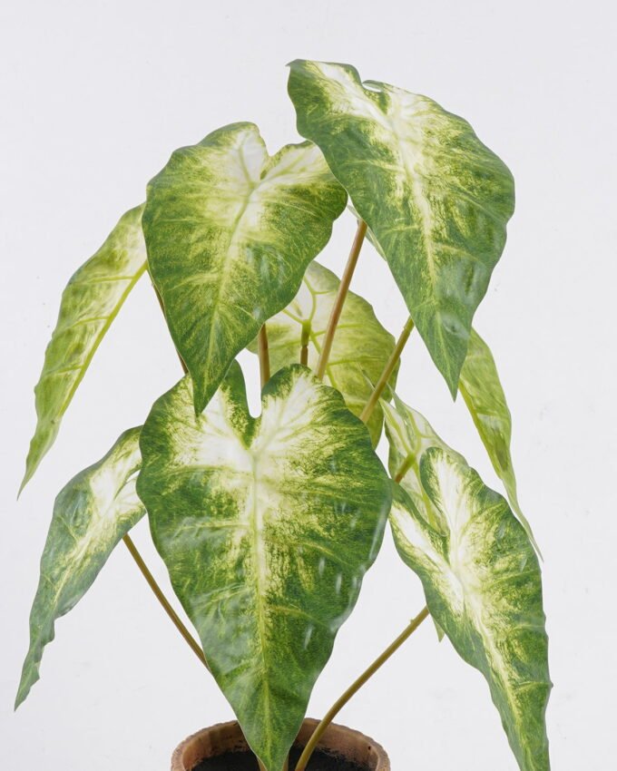 Artificial Table Plants 30*30*52cm Syngonium podophyllum in Cement pot GS-03326054 2026Jun 3,000+ sqm showroom with thousands of artificial flowers, plants & trees ready for global sourcing.