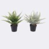 Artificial Table Plants Thelypteridaceae in pp pot GS-05526014_1 Artificial Table Plants 12*10*26cm Thelypteridaceae in pp pot GS-05526014 2026Jun 3,000+ sqm showroom with thousands of artificial flowers, plants & trees ready for global sourcing.
