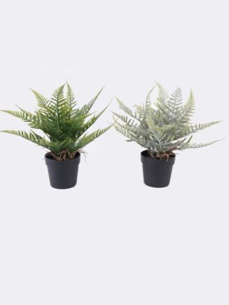 Artificial Table Plants 12*10*26cm Cyatheaceae in pp pot GS-05526013 2026Jun 3,000+ sqm showroom with thousands of artificial flowers, plants & trees ready for global sourcing.