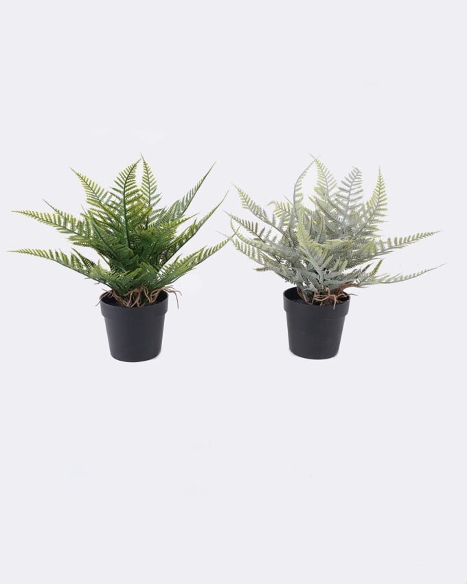Artificial Table Plants 12*10*26cm Thelypteridaceae in pp pot GS-05526014 2026Jun 3,000+ sqm showroom with thousands of artificial flowers, plants & trees ready for global sourcing.