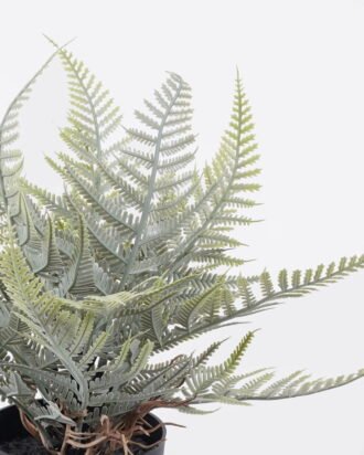 Artificial Table Plants 12*10*26cm Thelypteridaceae in pp pot GS-05526014 2026Jun 3,000+ sqm showroom with thousands of artificial flowers, plants & trees ready for global sourcing. Artificial Table Plants 12*10*26cm Thelypteridaceae in pp pot GS-05526014 2026Jun 3,000+ sqm showroom with thousands of artificial flowers, plants & trees ready for global sourcing.