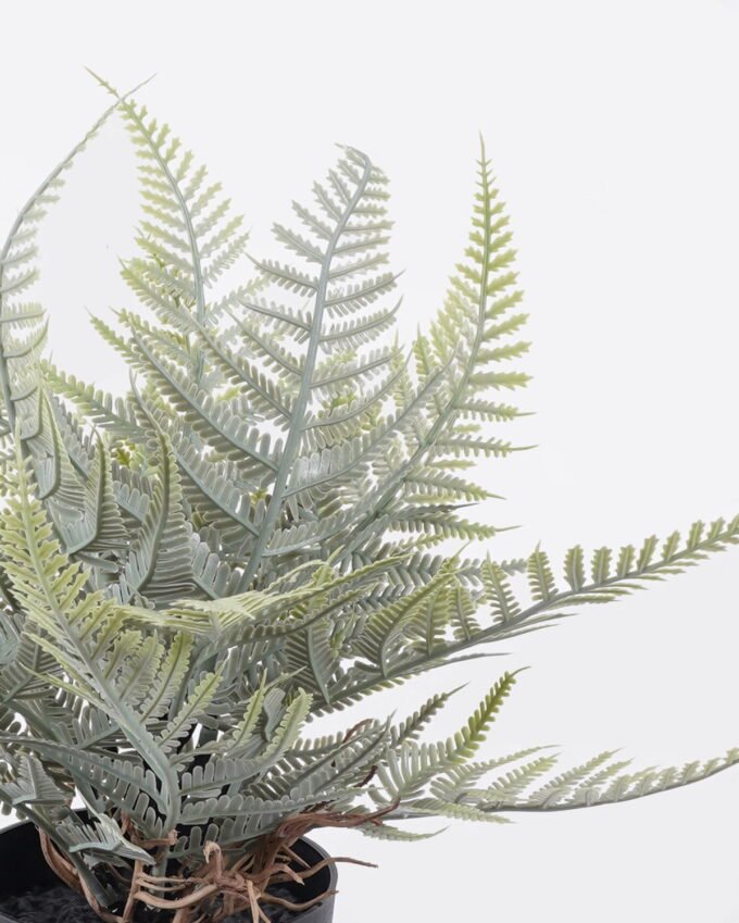 Artificial Table Plants Thelypteridaceae in pp pot GS-05526014_2 Artificial Table Plants 12*10*26cm Thelypteridaceae in pp pot GS-05526014 2026Jun 3,000+ sqm showroom with thousands of artificial flowers, plants & trees ready for global sourcing.