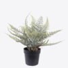 Artificial Table Plants Thelypteridaceae in pp pot GS-05526014_3 Artificial Table Plants 12*10*26cm Thelypteridaceae in pp pot GS-05526014 2026Jun 3,000+ sqm showroom with thousands of artificial flowers, plants & trees ready for global sourcing.