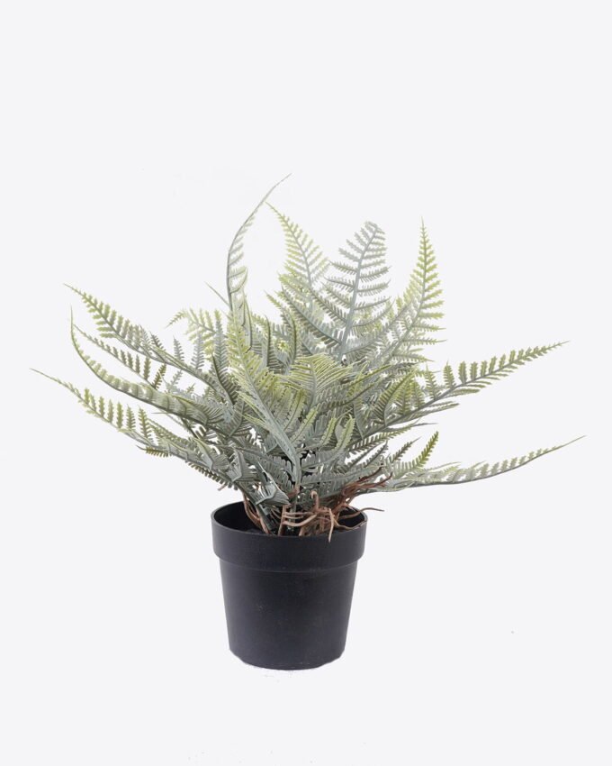Artificial Table Plants Thelypteridaceae in pp pot GS-05526014_3 Artificial Table Plants 12*10*26cm Thelypteridaceae in pp pot GS-05526014 2026Jun 3,000+ sqm showroom with thousands of artificial flowers, plants & trees ready for global sourcing.