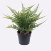 Artificial Table Plants Thelypteridaceae in pp pot GS-05526014_5 Artificial Table Plants 12*10*26cm Thelypteridaceae in pp pot GS-05526014 2026Jun 3,000+ sqm showroom with thousands of artificial flowers, plants & trees ready for global sourcing.
