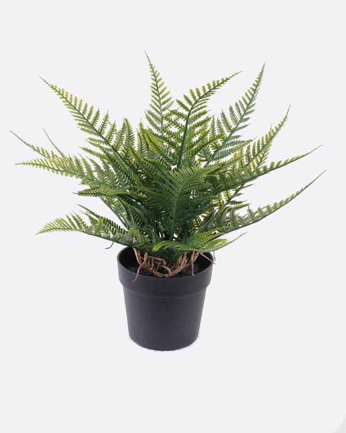 Artificial Table Plants Thelypteridaceae in pp pot GS-05526014_5 Artificial Table Plants 12*10*26cm Thelypteridaceae in pp pot GS-05526014 2026Jun 3,000+ sqm showroom with thousands of artificial flowers, plants & trees ready for global sourcing.