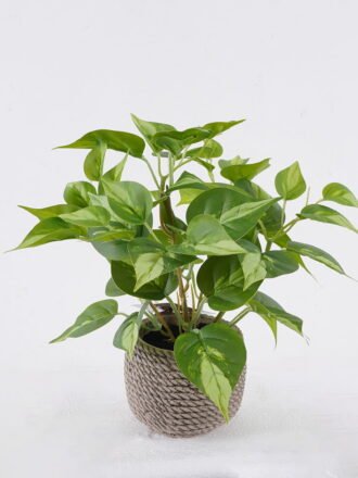 Artificial Table Plants 30*30*28cm Grape leaf in Cement pot GS-03326064 2026Jun 3,000+ sqm showroom with thousands of artificial flowers, plants & trees ready for global sourcing.