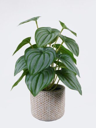 Artificial Table Plants 22*22*32cm   Pilea peperomioides in cement pot GS-03326094 2026Jun 3,000+ sqm showroom with thousands of artificial flowers, plants & trees ready for global sourcing.