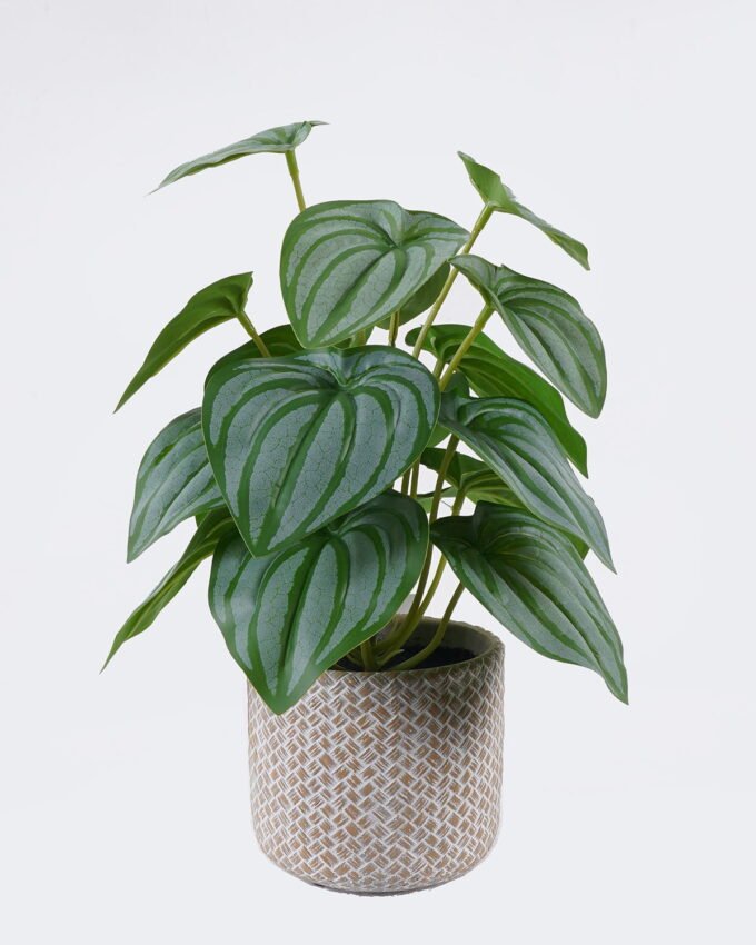 Artificial Table Plants 22*22*32cm  Watermelon leaf in cement pot GS-03326093 2026Jun 3,000+ sqm showroom with thousands of artificial flowers, plants & trees ready for global sourcing.