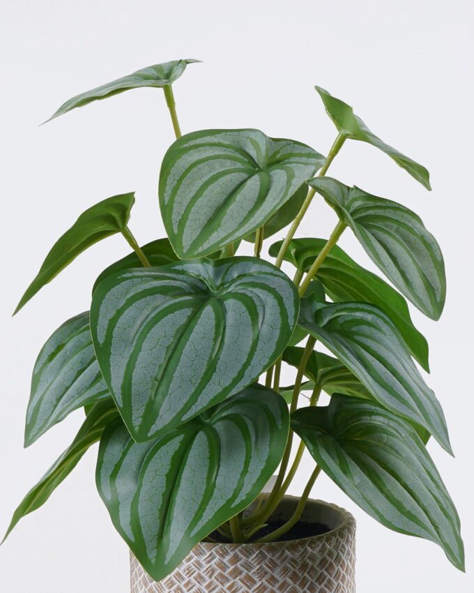 Artificial Table Plants 22*22*32cm  Watermelon leaf in cement pot GS-03326093 2026Jun 3,000+ sqm showroom with thousands of artificial flowers, plants & trees ready for global sourcing.