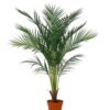Artificial Tree 110cm Kwai tree in PP pot 12 lvs GS-59526004-TK Artificial Tree 110cm Kwai tree in PP pot/12 lvs GS-59526004-TK 2026Aug 3,000+ sqm showroom with thousands of artificial flowers, plants & trees ready for global sourcing.
