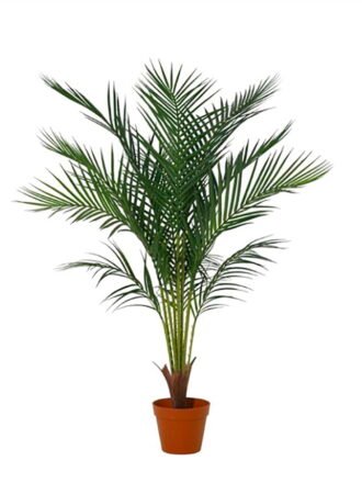 Artificial Tree 70cm Kwai tree *2 in PP pot/12 lvs GS-59526005-TK 2026Aug 3,000+ sqm showroom with thousands of artificial flowers, plants & trees ready for global sourcing.