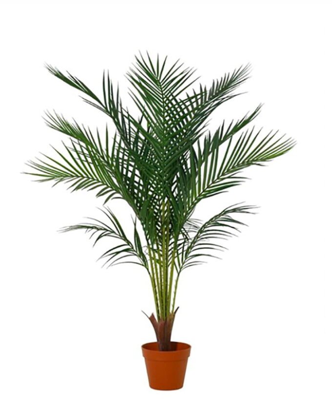 Artificial Tree 110cm Kwai tree in PP pot/12 lvs GS-59526004-TK 2026Aug 3,000+ sqm showroom with thousands of artificial flowers, plants & trees ready for global sourcing.