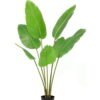 Artificial Tree 120cm Strelitziaceae in PP pot 6 lvs GS-59526009-TK Artificial Tree 120cm Strelitziaceae in PP pot/6 lvs GS-59526009-TK 2026Aug 3,000+ sqm showroom with thousands of artificial flowers, plants & trees ready for global sourcing.