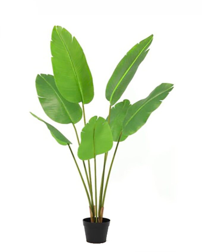 Artificial Tree 120cm Strelitziaceae in PP pot 6 lvs GS-59526009-TK Artificial Tree 120cm Strelitziaceae in PP pot/6 lvs GS-59526009-TK 2026Aug 3,000+ sqm showroom with thousands of artificial flowers, plants & trees ready for global sourcing.
