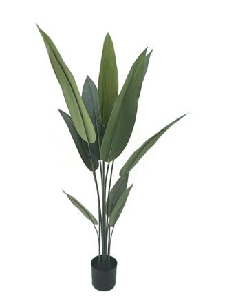 Artificial Tree 160cm Canna in PP pot/ 12 lvs GS-35326021 2026Jul 3,000+ sqm showroom with thousands of artificial flowers, plants & trees ready for global sourcing.