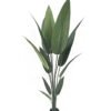 Artificial Tree 160cm Canna in PP pot 12 lvs GS-35326021 Artificial Tree 160cm Canna in PP pot/ 12 lvs GS-35326021 2026Jul 3,000+ sqm showroom with thousands of artificial flowers, plants & trees ready for global sourcing.