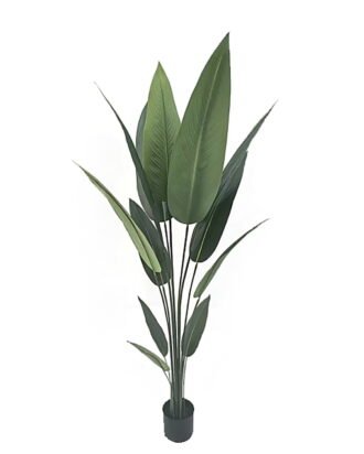 Artificial Tree 160cm Canna in PP pot/ 12 lvs GS-35326021 2026Jul 3,000+ sqm showroom with thousands of artificial flowers, plants & trees ready for global sourcing.