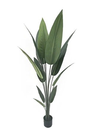 Artificial Tree 137cm Canna in PP pot/ 10 lvs GS-35326020 2026Jul 3,000+ sqm showroom with thousands of artificial flowers, plants & trees ready for global sourcing.