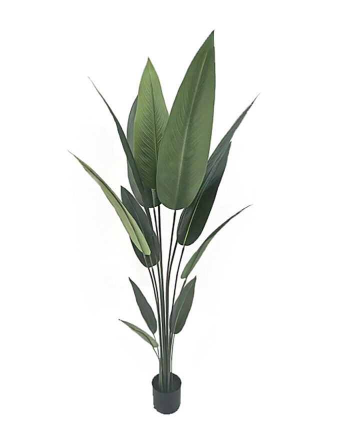 Artificial Tree 160cm Canna in PP pot 12 lvs GS-35326021 Artificial Tree 160cm Canna in PP pot/ 12 lvs GS-35326021 2026Jul 3,000+ sqm showroom with thousands of artificial flowers, plants & trees ready for global sourcing.