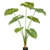 Artificial Tree 160cm Philodendron in PP pot 7 lvs GS-76726001 Artificial Tree 160cm Philodendron in PP pot/7 lvs GS-76726001 2026Aug 3,000+ sqm showroom with thousands of artificial flowers, plants & trees ready for global sourcing.