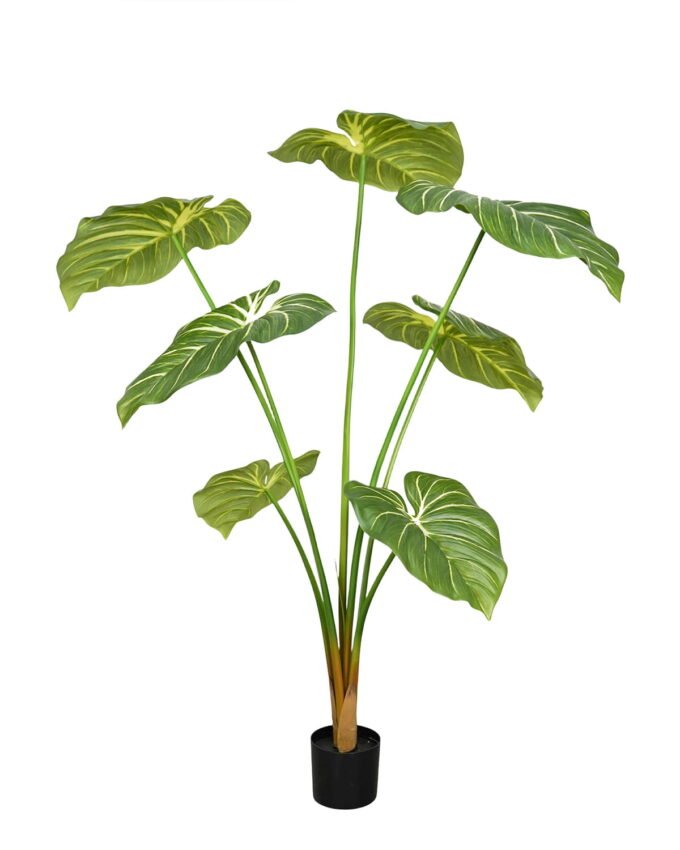 Artificial Tree 160cm Philodendron in PP pot/7 lvs GS-76726001 2026Aug 3,000+ sqm showroom with thousands of artificial flowers, plants & trees ready for global sourcing.