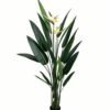Artificial Tree 180cm Birds of Paradise in PP pot 19 lvs GS-35326023_2 Artificial Tree 180cm Birds of Paradise in PP pot/ 19 lvs GS-35326023 2026Jul 3,000+ sqm showroom with thousands of artificial flowers, plants & trees ready for global sourcing.