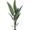 Artificial Tree 200cm Canna in PP pot 14 lvs GS-35326022 Artificial Tree 200cm Canna in PP pot/ 14 lvs GS-35326022 2026Jul 3,000+ sqm showroom with thousands of artificial flowers, plants & trees ready for global sourcing.