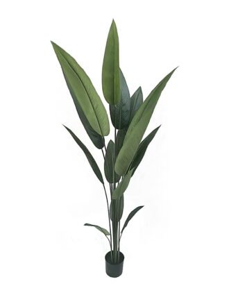 Artificial Tree 200cm Canna in PP pot/ 14 lvs GS-35326022 2026Jul 3,000+ sqm showroom with thousands of artificial flowers, plants & trees ready for global sourcing.