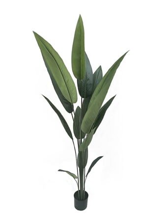 Artificial Tree 160cm Canna in PP pot/ 12 lvs GS-35326021 2026Jul 3,000+ sqm showroom with thousands of artificial flowers, plants & trees ready for global sourcing.