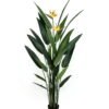 Artificial Tree 205cm Birds of Paradise in PP pot 24 lvs GS-35326024_2 Artificial Tree 205cm Birds of Paradise in PP pot/ 24 lvs GS-35326024 2026Jul 3,000+ sqm showroom with thousands of artificial flowers, plants & trees ready for global sourcing.