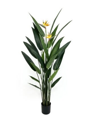Artificial Tree 205cm Birds of Paradise in PP pot/ 24 lvs GS-35326024 2026Jul 3,000+ sqm showroom with thousands of artificial flowers, plants & trees ready for global sourcing.