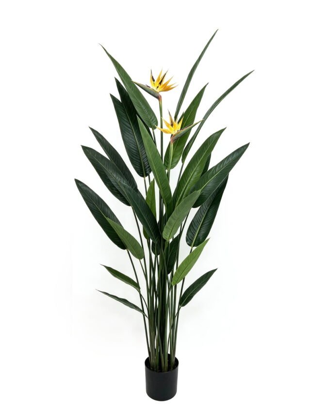 Artificial Tree 205cm Birds of Paradise in PP pot/ 24 lvs GS-35326024 2026Jul 3,000+ sqm showroom with thousands of artificial flowers, plants & trees ready for global sourcing.