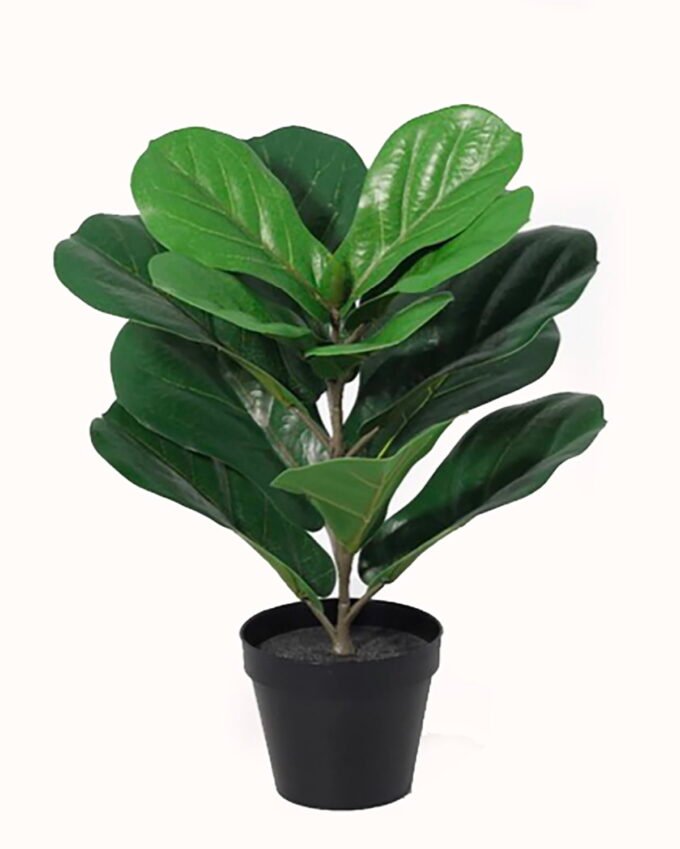 Artificial Tree 40cm Ficus lyrata in PP pot 9 lvs GS-59526008-TK Artificial Tree 40cm Ficus lyrata in PP pot/9 lvs GS-59526008-TK 2026Aug 3,000+ sqm showroom with thousands of artificial flowers, plants & trees ready for global sourcing.