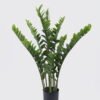 Artificial Tree 68 60 cm Zamioculcas zamiifolia 11 in PP pot 212 lvs GS-30426035 Artificial Tree 68*60*cm Zamioculcas zamiifolia *11 in PP pot/212 lvs GS-30426035 2026Jul 3,000+ sqm showroom with thousands of artificial flowers, plants & trees ready for global sourcing.