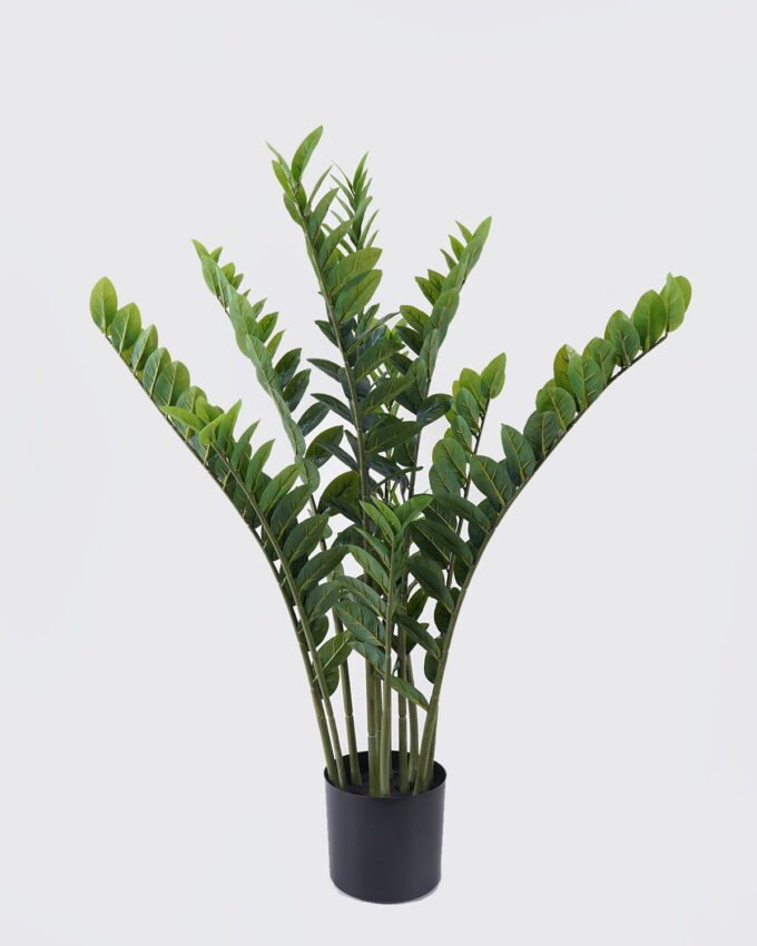 Artificial Tree 68*60*cm Zamioculcas zamiifolia *11 in PP pot/212 lvs GS-30426035 2026Jul 3,000+ sqm showroom with thousands of artificial flowers, plants & trees ready for global sourcing.