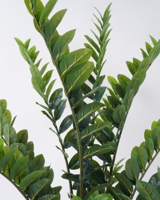 Artificial Tree 68*60*cm Zamioculcas zamiifolia *11 in PP pot/212 lvs GS-30426035 2026Jul 3,000+ sqm showroom with thousands of artificial flowers, plants & trees ready for global sourcing.